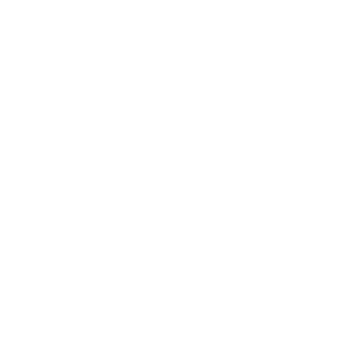 Medical Team