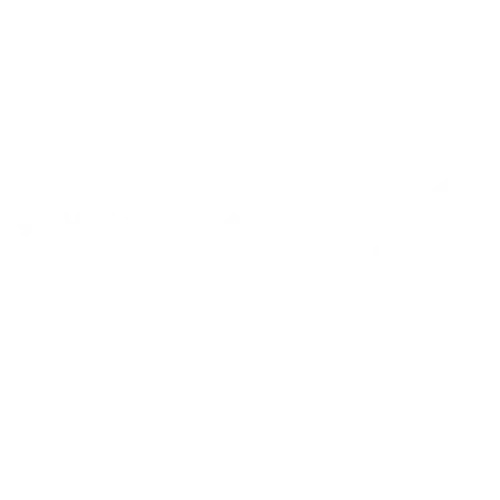 Hisham El Sheikh